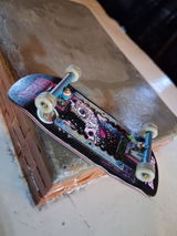 Alec S. review photo