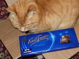 Roxanne review photo