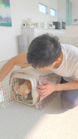あの review photo