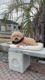 匿名 review photo