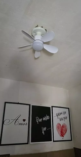 Daniela Pontes review photo