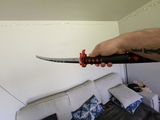 Francesco Miceli review photo