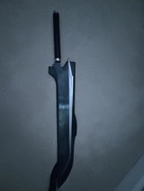 Shiloh sbg review photo