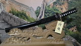 FRENCHY review photo
