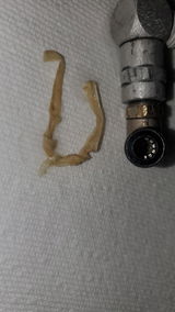 Jon-Paule G. review photo