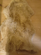 MIA review photo
