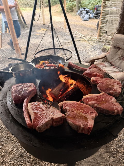 Bonfeu Plancha For Fire Pit BBQs