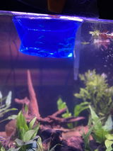 Julie Marlow review photo