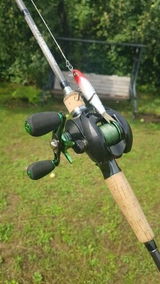 Mike Roberts review photo