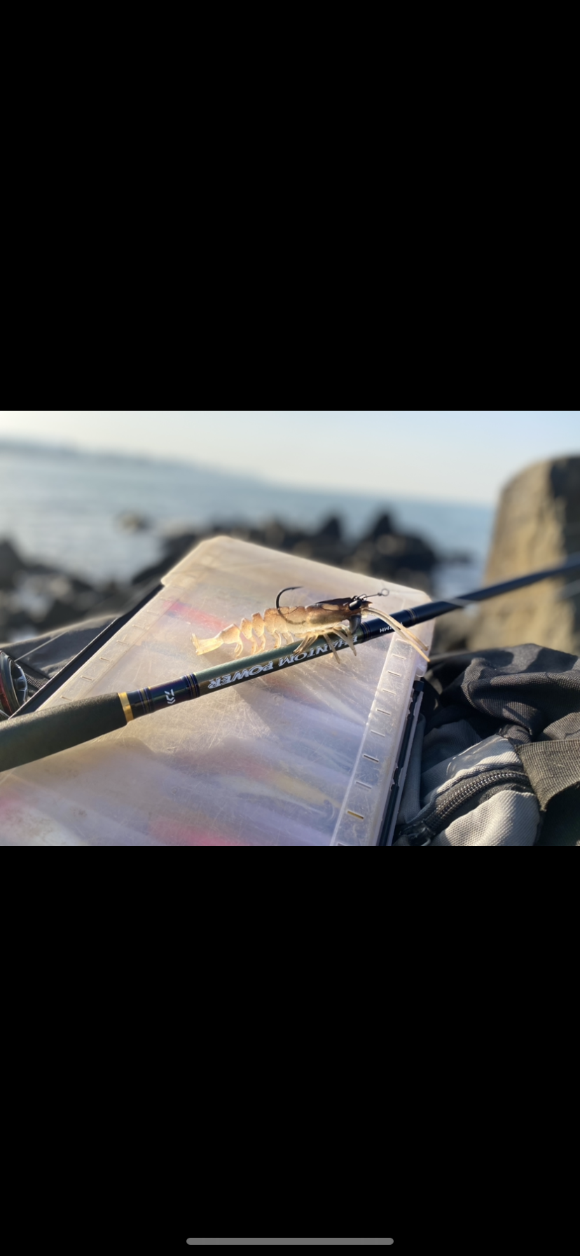Daiwa Phantom Power Spinning Rod | 8 Ft - MH | 9 Ft - MH | 10 Ft
