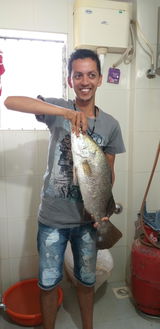 User picture