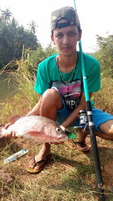 User picture