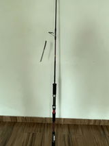 a.V. review photo