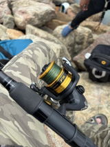 User picture