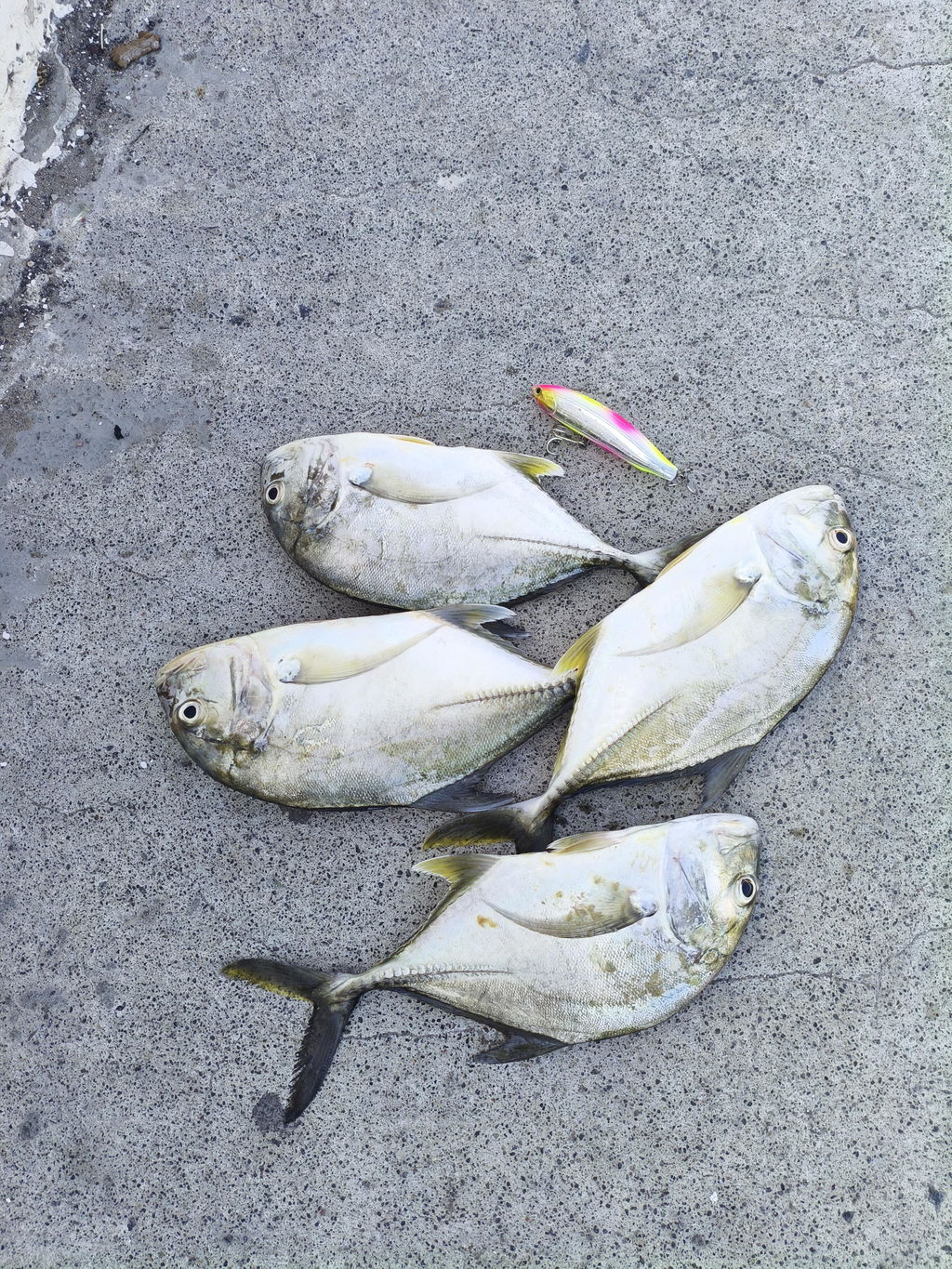 Lucana Gunfish Lipless Hard Lures | Topwater Lures |  Floating | 12 Cm | 33 Gm |