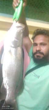 Mohamed Shamsudeen. S review photo
