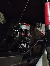 Amit Kumar Polley review photo