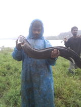 Ajesh N A review photo