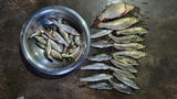 Angling with Imliwati review photo