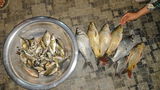 Angling with Imliwati review photo