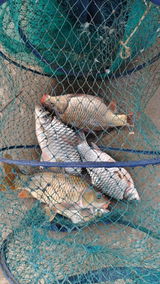 Angling with Imliwati review photo