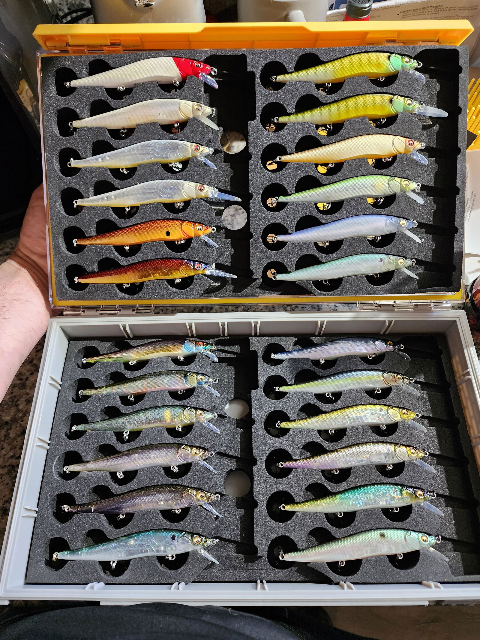 T3 Pro - fits Megabass Vision ONETEN Jr lures – FishMore Company