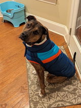 Jody W. review photo