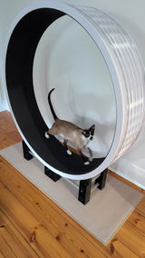 Anti-Slip Safety Cat Wheel Mat for Fit 'n' Fun Ferris Cat Wheels