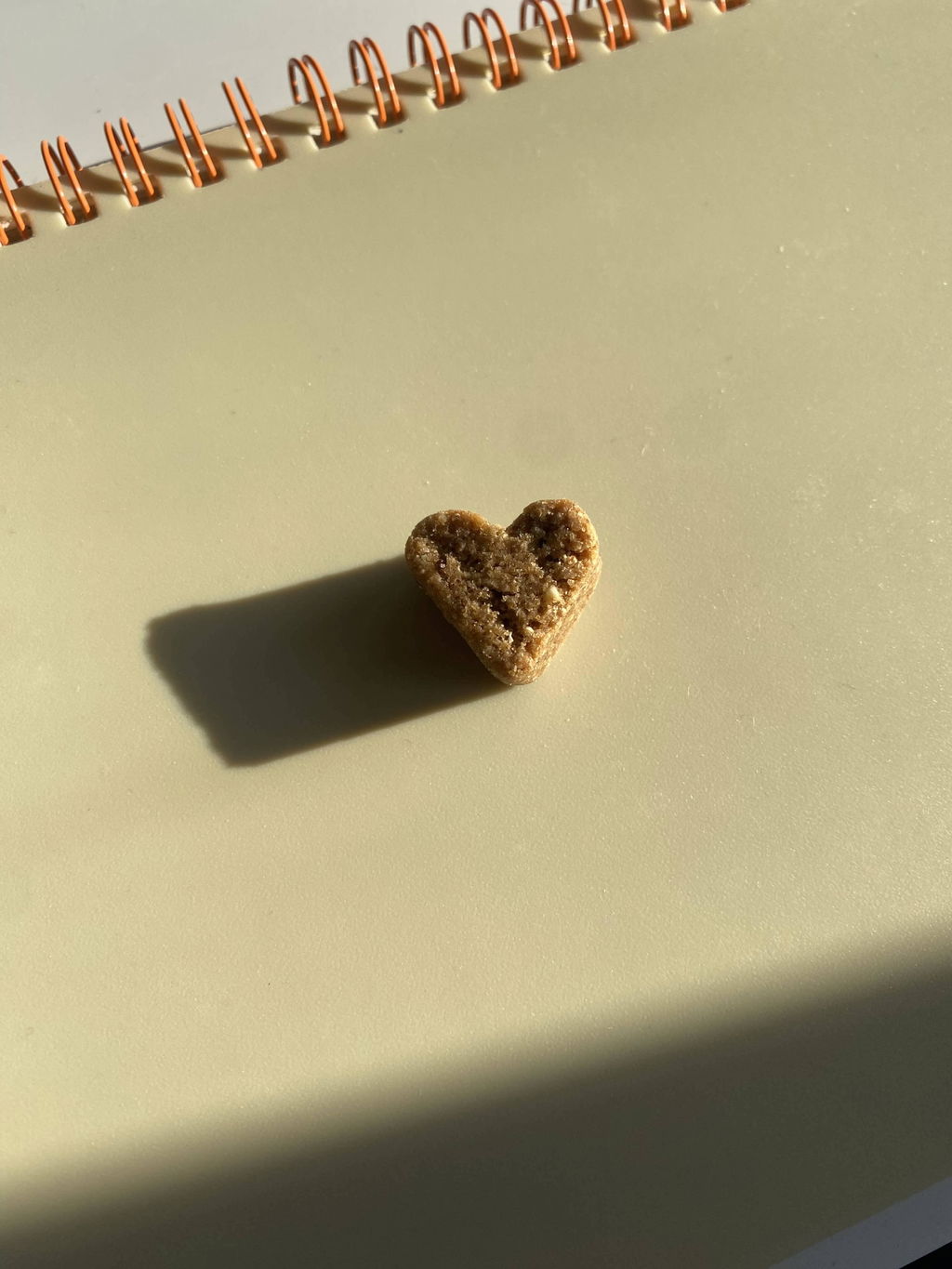 Foto eines Kunden