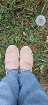 TheCatsMeow review photo