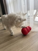 Agnė review photo