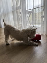 Agnė review photo