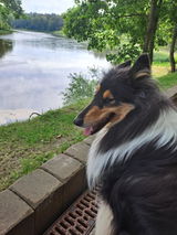 Ramunė Kimbartienė review photo