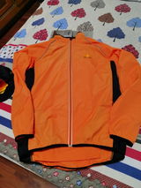 CurlyT review photo