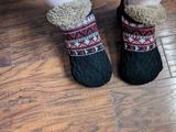 allan review photo