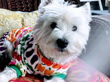 Donna Bergamin review photo