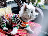Donna Bergamin review photo