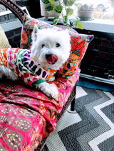 Donna Bergamin review photo
