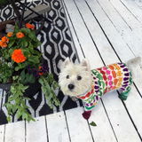 Donna Bergamin review photo