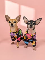 Chichinugget review photo