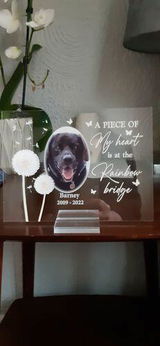 LYNNE S. review photo