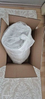 Jessica R review photo