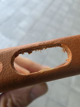 Ant review photo