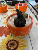 Daisey review photo