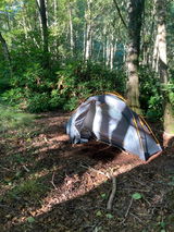 Tomek L review photo