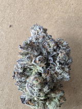 Sal Staiano review photo