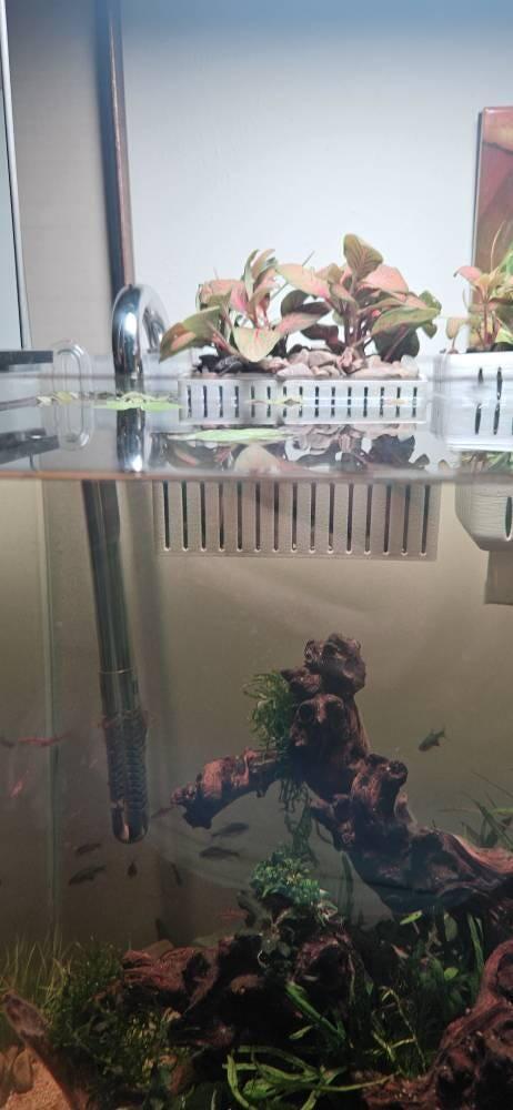 Adjustable Hang on Back Plant Basket for Aquariums