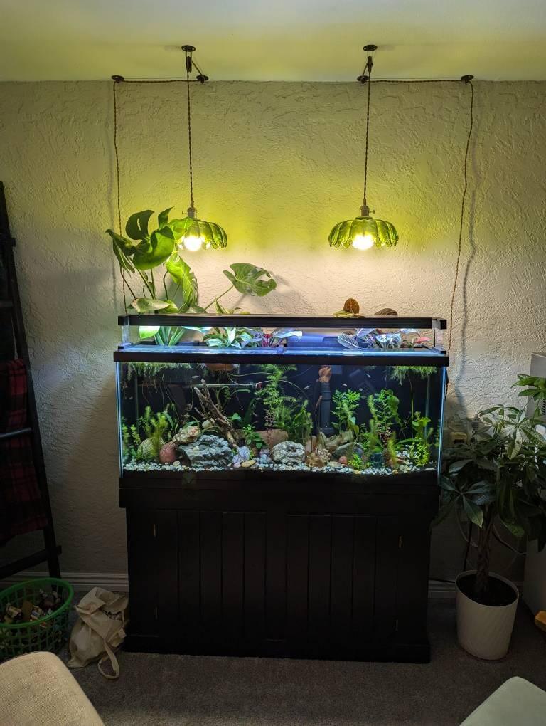 Adjustable Hang on Back Plant Basket for Aquariums