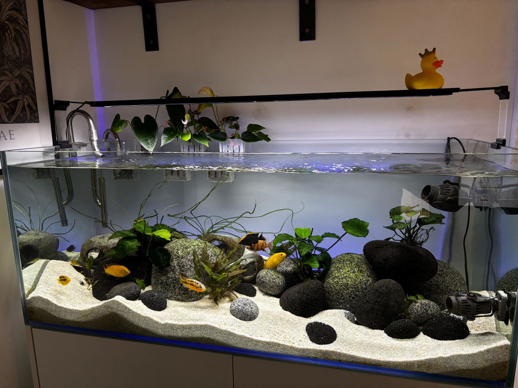 Fluval Aquasky 3.0 Light Riser Set