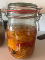 FermentFuxx review photo